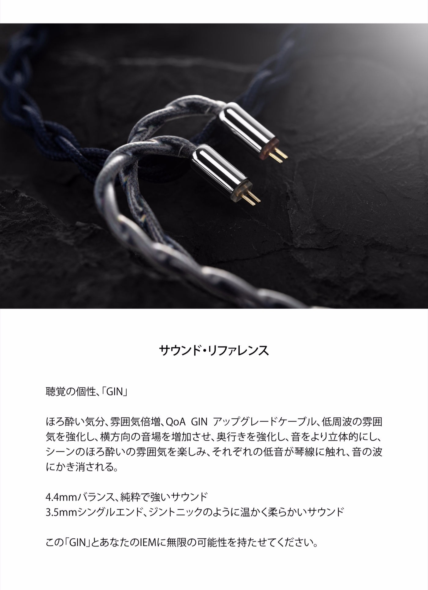 QoA アップグレードケーブル GIN