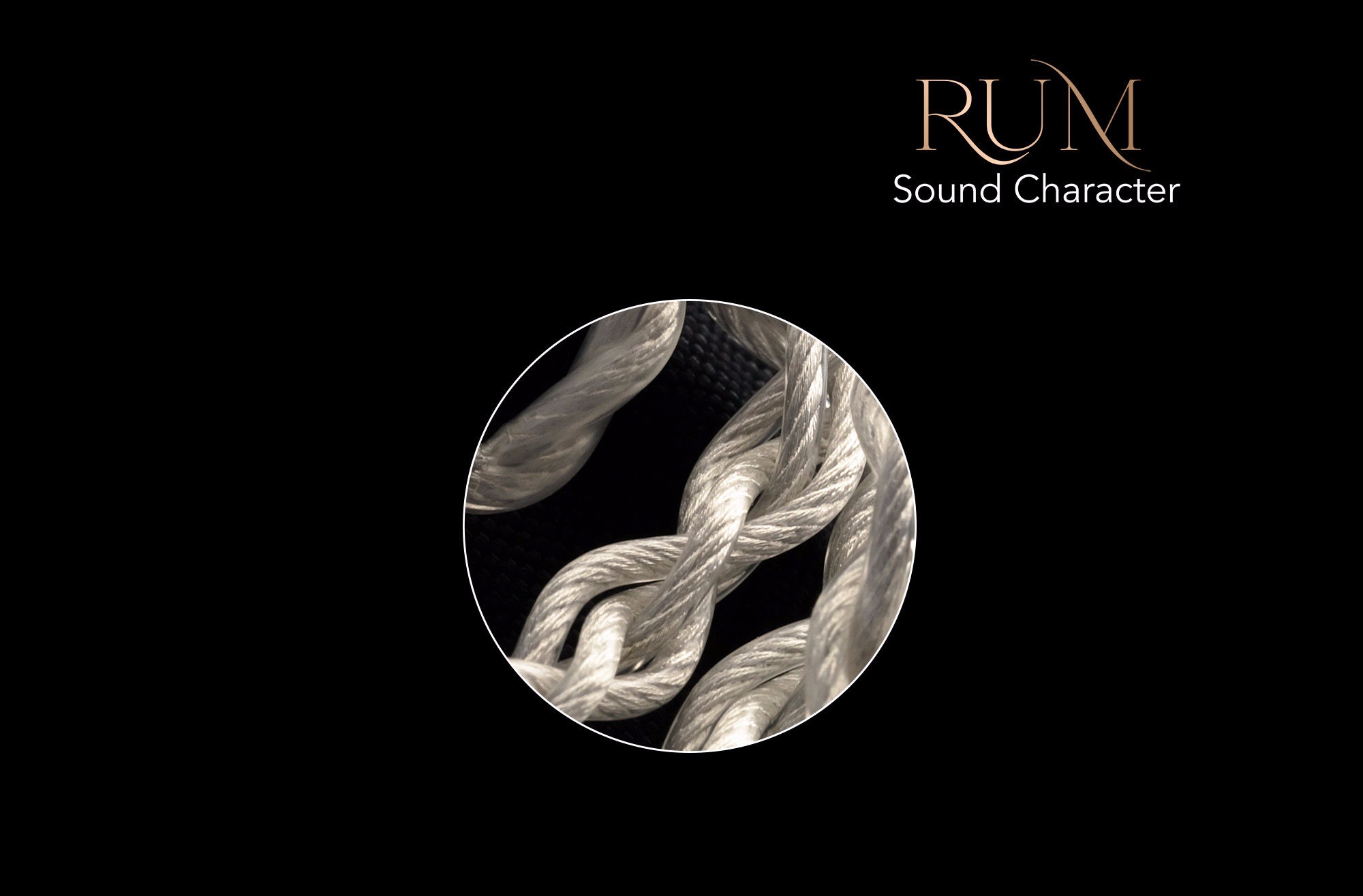 QoA RUM アップグレードケーブル